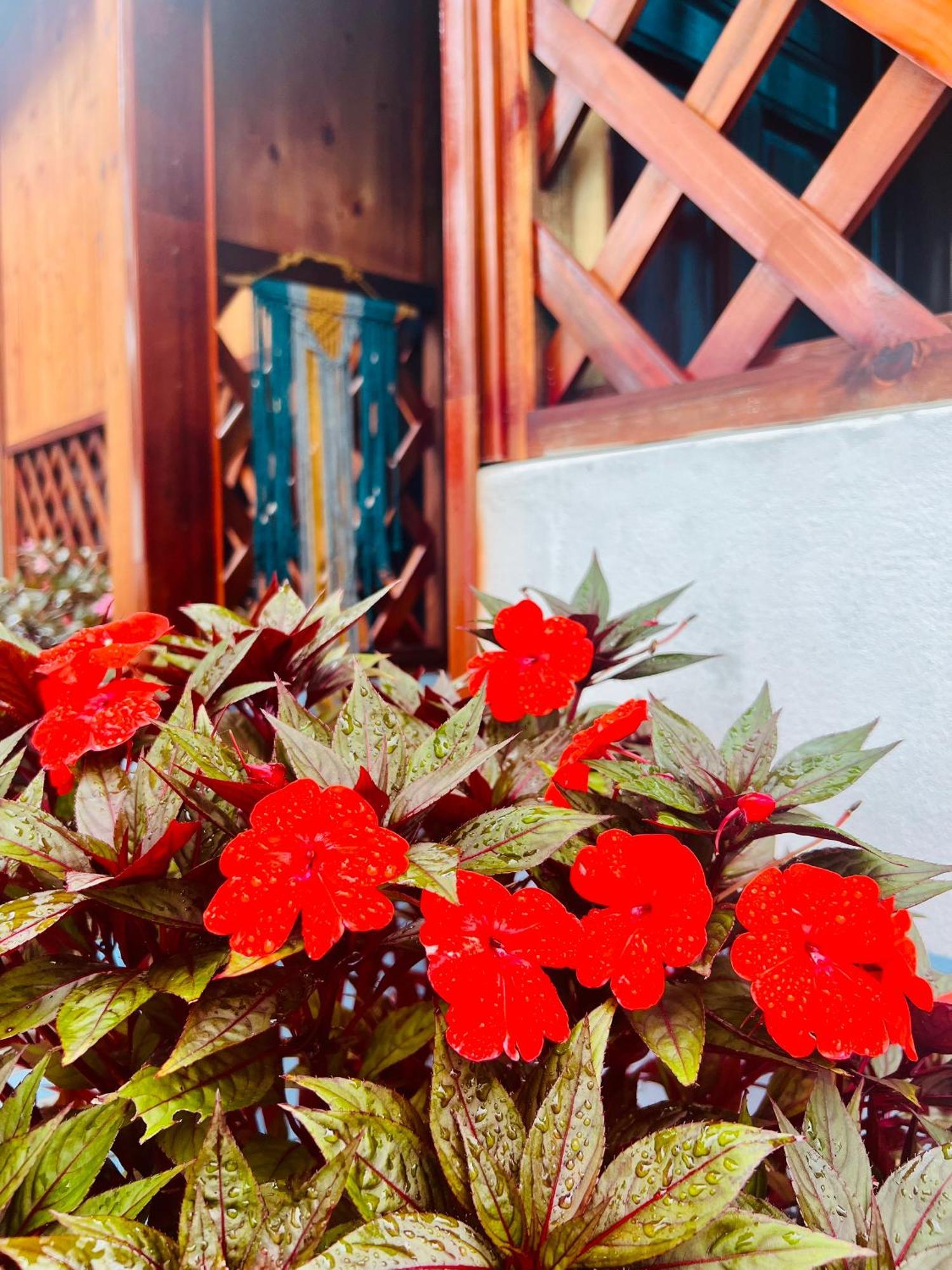 Vietnam Phuot Real Home Kon Tum Ruang foto
